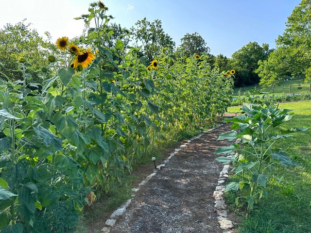 350 Grapevine Road, Harrodsburg, KY 40330