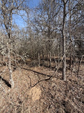 Lots 1006 and 1007 Diamond Head DR, Bastrop, TX 78602