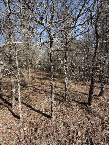 Lots 1006 and 1007 Diamond Head DR, Bastrop, TX 78602