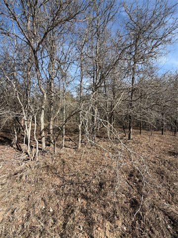 Lots 1006 and 1007 Diamond Head DR, Bastrop, TX 78602