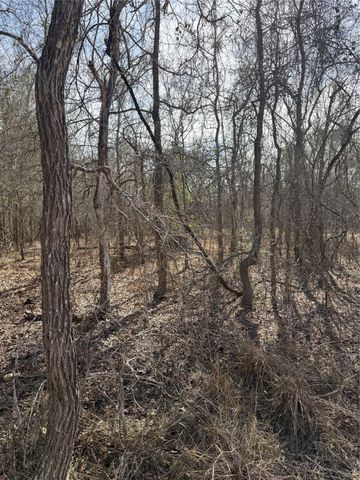 Lots 1006 and 1007 Diamond Head DR, Bastrop, TX 78602