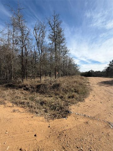 Lots 1006 and 1007 Diamond Head DR, Bastrop, TX 78602