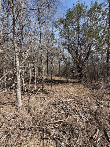 Lots 1006 and 1007 Diamond Head DR, Bastrop, TX 78602