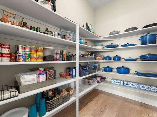 4797 Saddle Iron Rd, Castle Rock, CO 80104