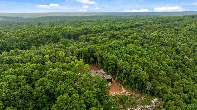 22731 Ga-157, Menlo, GA 30731