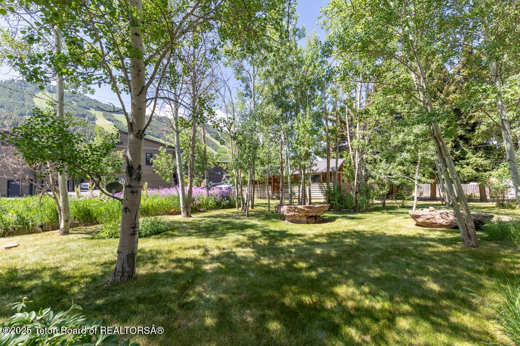 580 E HANSEN Avenue, Jackson, WY 83001 photo 2