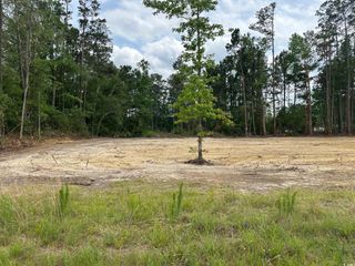 TBD 1 Saint John Rd., Galivants Ferry, SC 29544