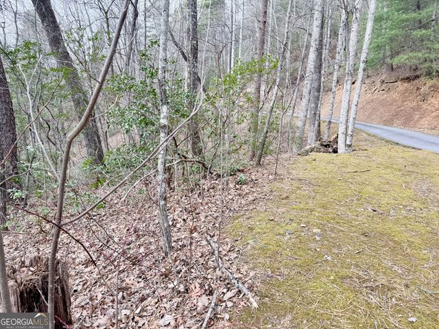 0 Monarch Lane, Clayton, GA 30525