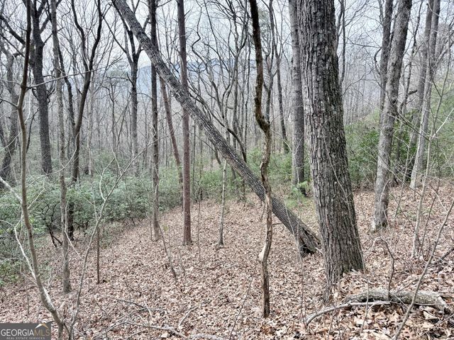 0 Monarch Lane, Clayton, GA 30525