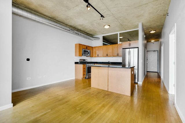 1620 S Michigan Avenue 1117, Chicago, IL 60616