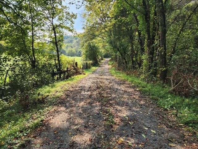 644 Webster Branch Ln, Whitleyville, TN 38588