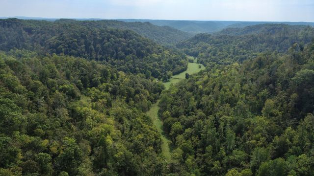 644 Webster Branch Ln, Whitleyville, TN 38588