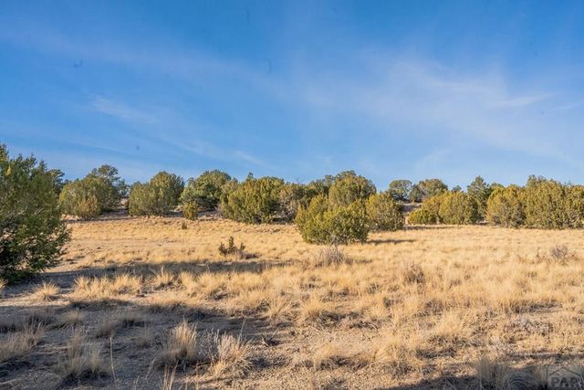 24 Hatchet Ranch, Pueblo, CO 81004