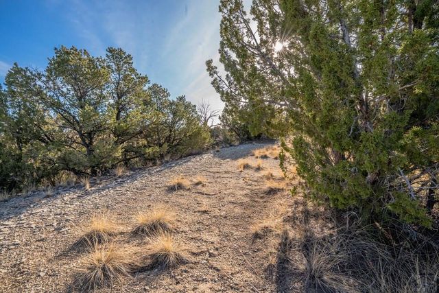 24 Hatchet Ranch, Pueblo, CO 81004