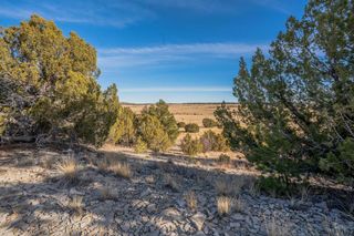 24 Hatchet Ranch, Pueblo, CO 81004