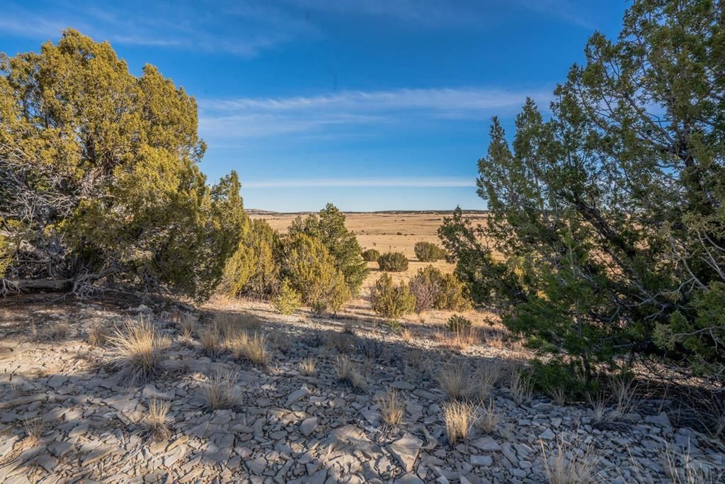 24 Hatchet Ranch, Pueblo, CO 81004