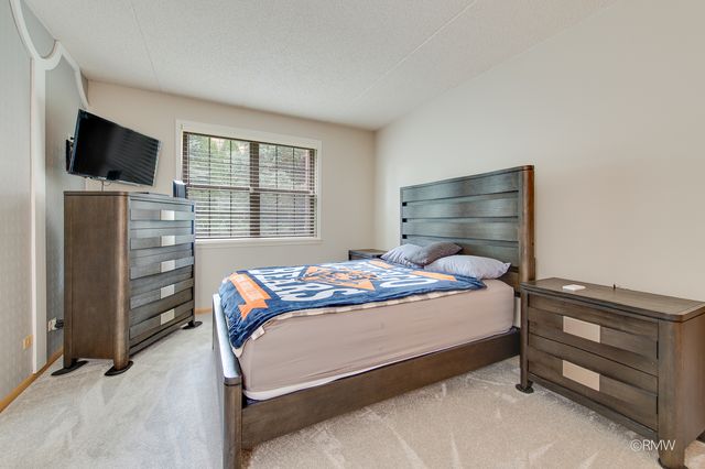 223 Glen Ridge Lane 1B, Bloomingdale, IL 60108