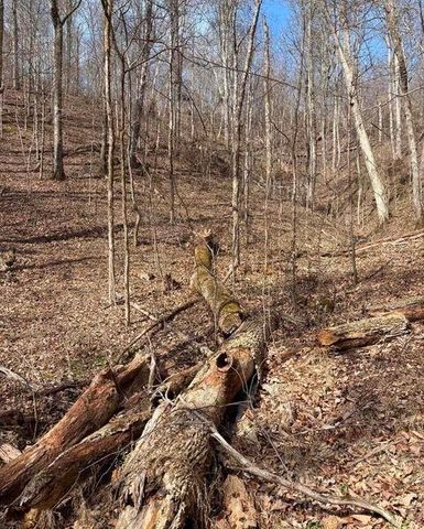 809 State Highway 310, Englewood, TN 37329