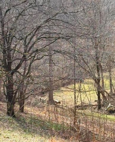 809 State Highway 310, Englewood, TN 37329
