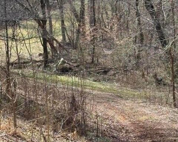809 State Highway 310, Englewood, TN 37329