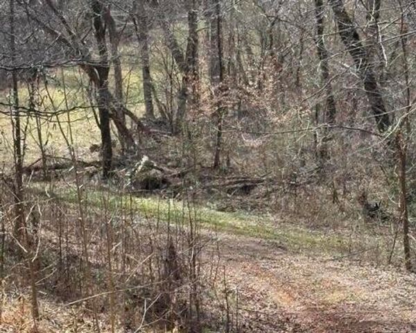 809 State Highway 310, Englewood, TN 37329
