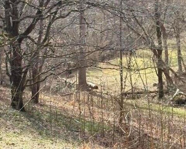 809 State Highway 310, Englewood, TN 37329
