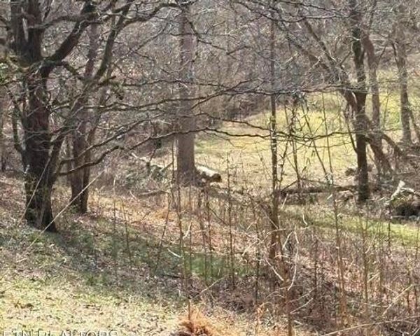 809 State Highway 310, Englewood, TN 37329