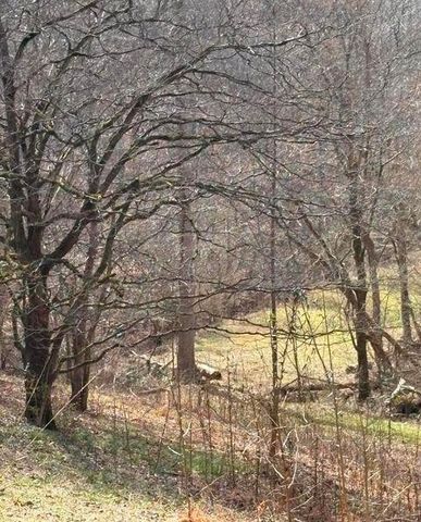 809 State Highway 310, Englewood, TN 37329