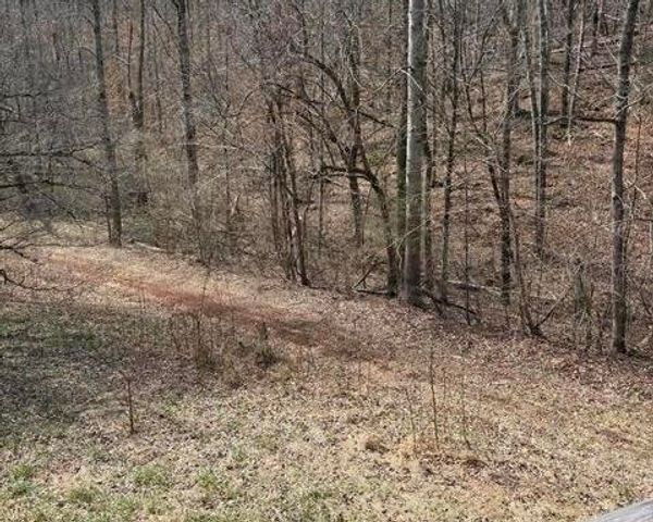 809 State Highway 310, Englewood, TN 37329