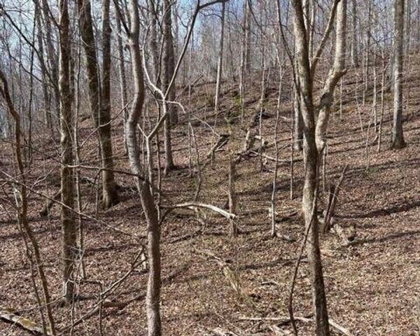 809 State Highway 310, Englewood, TN 37329