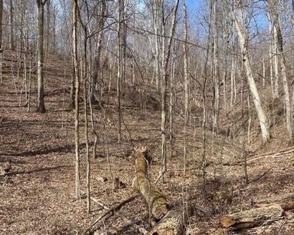 809 State Highway 310, Englewood, TN 37329