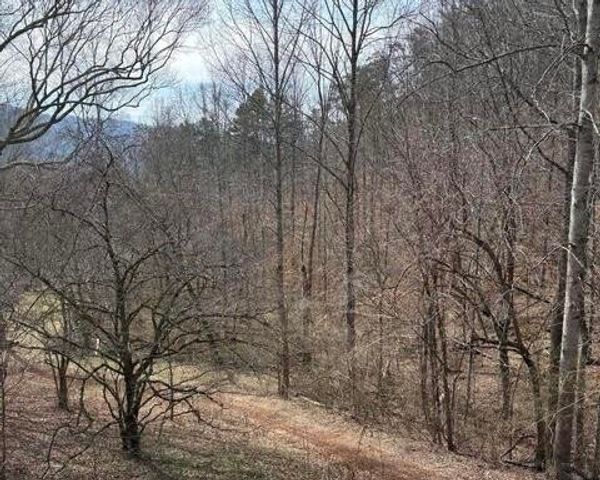 809 State Highway 310, Englewood, TN 37329