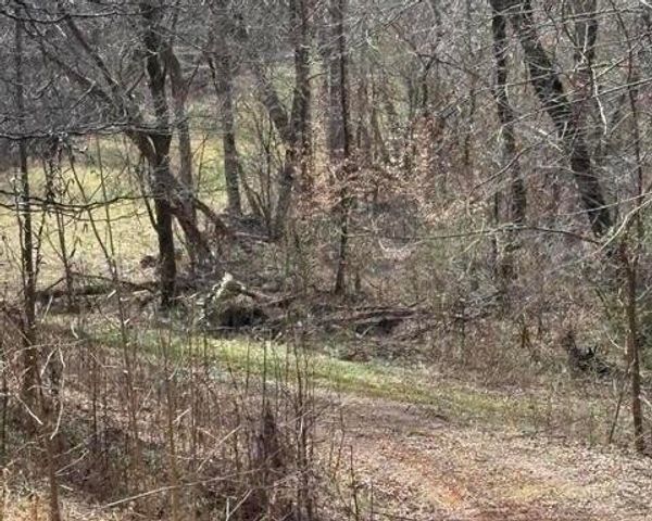 809 State Highway 310, Englewood, TN 37329
