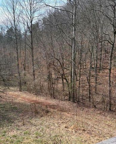 809 State Highway 310, Englewood, TN 37329