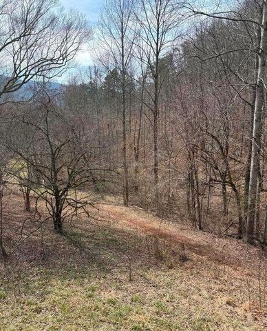 809 State Highway 310, Englewood, TN 37329