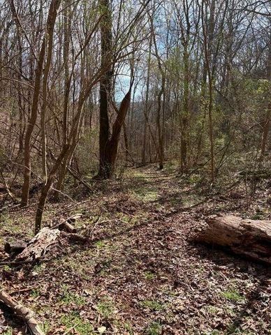 809 State Highway 310, Englewood, TN 37329