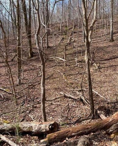 809 State Highway 310, Englewood, TN 37329