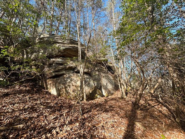 0 Deerhead Road 5, Dunlap, TN 37327