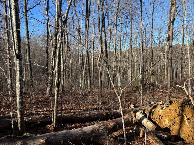 0 Deerhead Road 5, Dunlap, TN 37327
