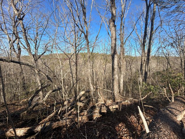 0 Deerhead Road 5, Dunlap, TN 37327