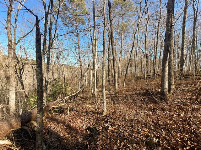 0 Deerhead Road 5, Dunlap, TN 37327