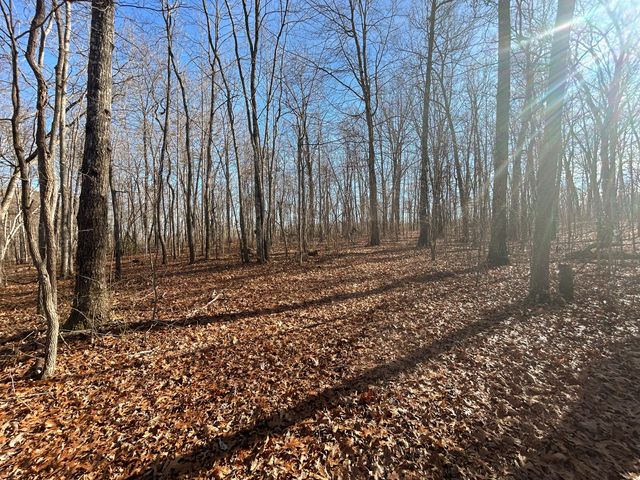 0 Deerhead Road 5, Dunlap, TN 37327