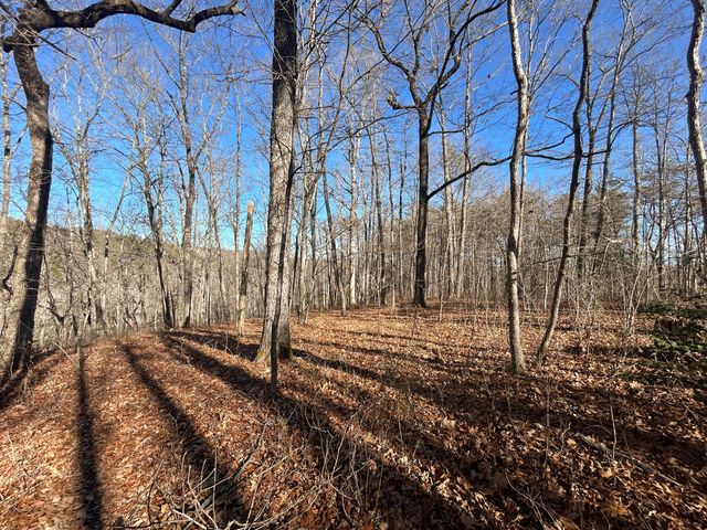 0 Deerhead Road 5, Dunlap, TN 37327