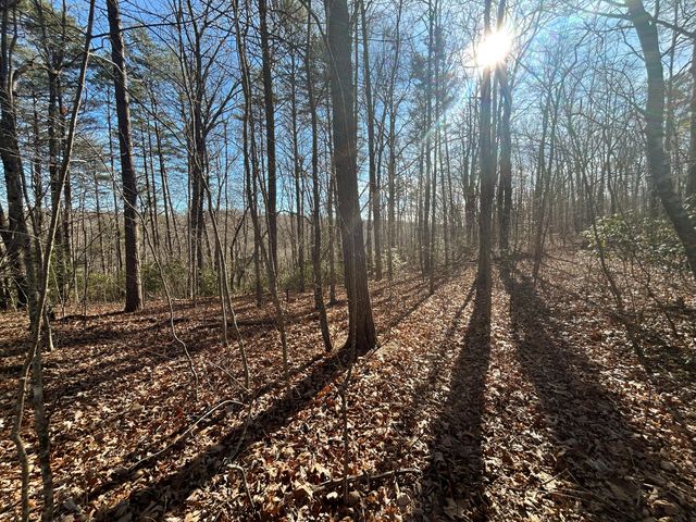 0 Deerhead Road 5, Dunlap, TN 37327