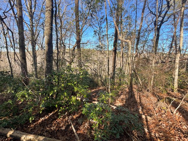 0 Deerhead Road 5, Dunlap, TN 37327