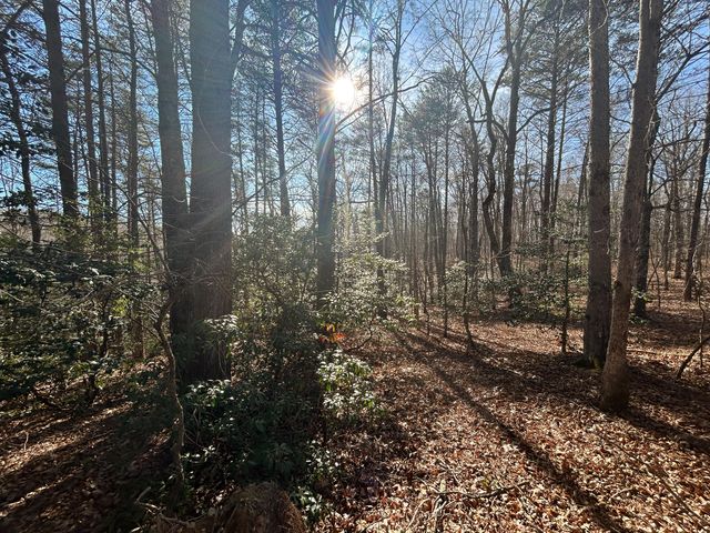 0 Deerhead Road 5, Dunlap, TN 37327