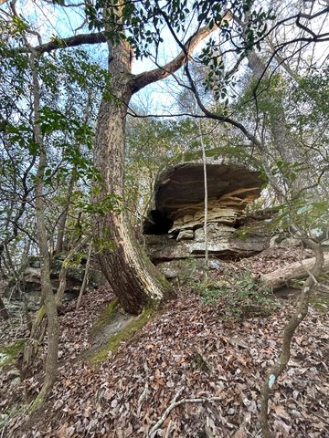0 Deerhead Road 5, Dunlap, TN 37327