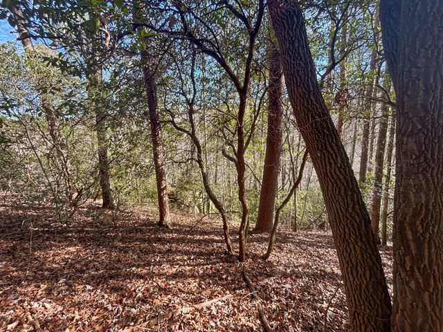 0 Deerhead Road 5, Dunlap, TN 37327