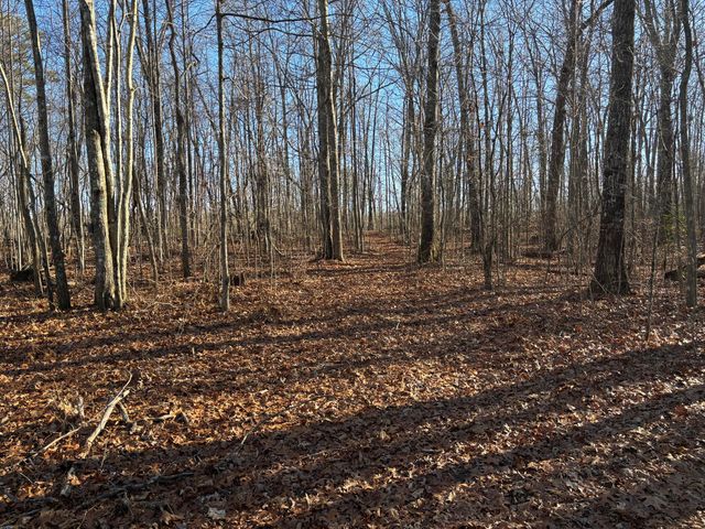 0 Deerhead Road 5, Dunlap, TN 37327
