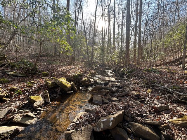 0 Deerhead Road 5, Dunlap, TN 37327